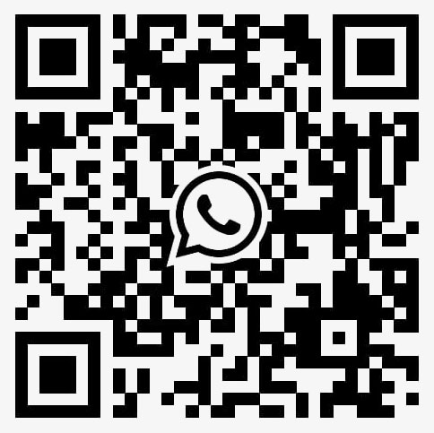 whatsapp ludimag nouveau